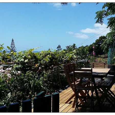 Гостевой дом Casa Do Ze - Al Manadas Экстерьер фото